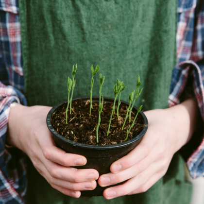 BUILDING CLIMATE RESILIENCE IN NEW COMMUNITIES